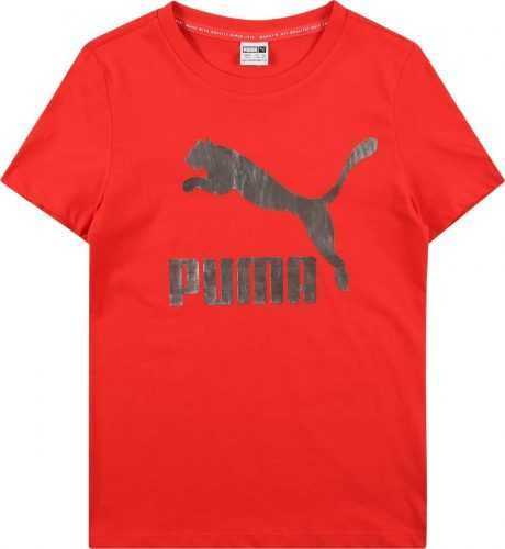 PUMA Tričko červená / tmavě šedá