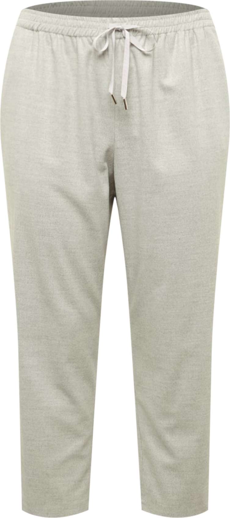 River Island Plus Kalhoty 'BEN' světle šedá