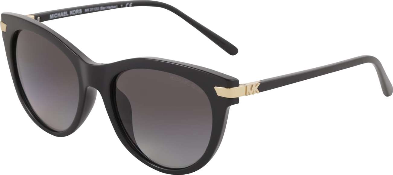 Michael Kors Sonnenbrille '0MK2112U' zlatá / černá