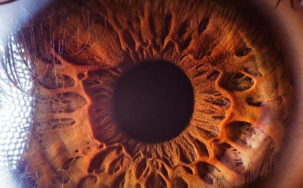 Makro fotky lidského oka