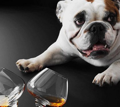 Je libo francouzskou pálenku?