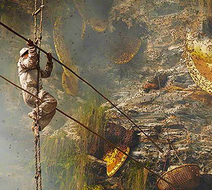 Sběrači medu z Nepálu