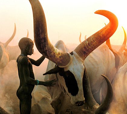 Neuvěřitelné fotografie Dinků! Nechte se vtáhnout do každodenního života největší etnické skupiny!