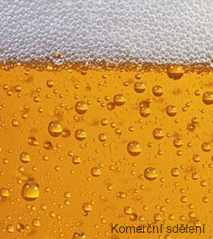 Jak si užít pití piva v létě?