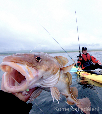 Dovolená na Skandinávském poloostrově – Užijí si ji nejen rybáři!