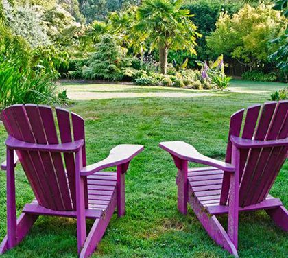 Jak vylepšit svojí zahradu?