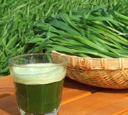 Zelené potraviny vám vrátí energii a zdraví! Vyzkoušejte mladý ječmen nebo chlorelu!