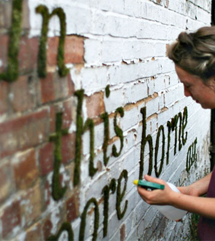 Nudná zeď na zahradě? Vytvořte si graffity, které vás bude bavit!