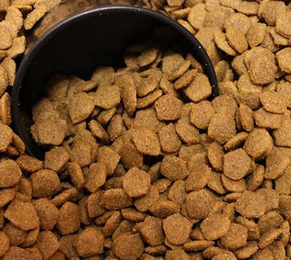 Nevíte, jak vybrat granule pro psy? Poradíme, čím se řídit!