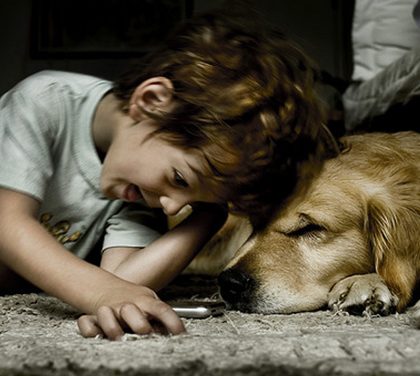 Když chce mít dítě slona na zahradě a žirafu v kuchyni!