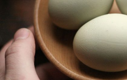 7 důvodů, proč jíst vejce! Pomohou vašim břišním svalům