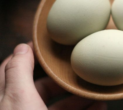 7 důvodů, proč jíst vejce! Pomohou vašim břišním svalům