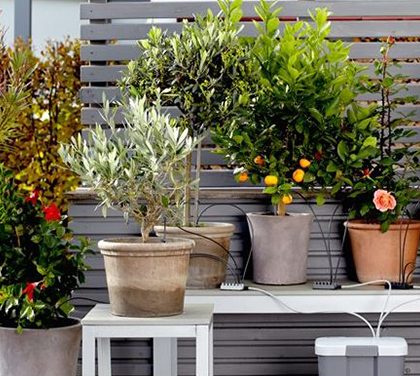 Jedete na dovolenou a máte strach, že trávník i zahrada v parných dnech seschnou? Zavlažovací systém se o vše postará!