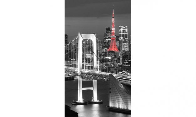 Váš byt či pokoj skvěle doplní fototapeta na zeď, stačí si vybrat