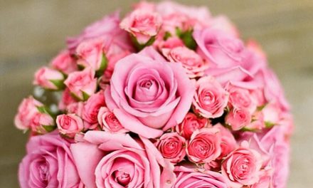 Nestíháte koupit puget růží na svátek? Objednejte květiny on-line!
