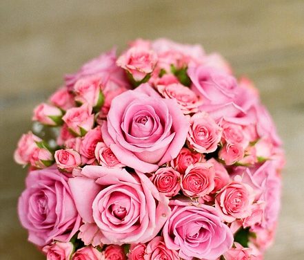 Nestíháte koupit puget růží na svátek? Objednejte květiny on-line!