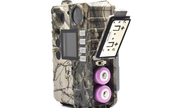 Jak si vedla fotopast BG310-M v ostrém testování?