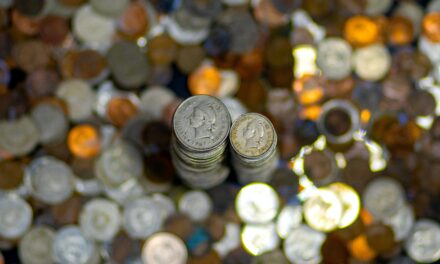 Na co si dát pozor při nákupu starožitných mincí?