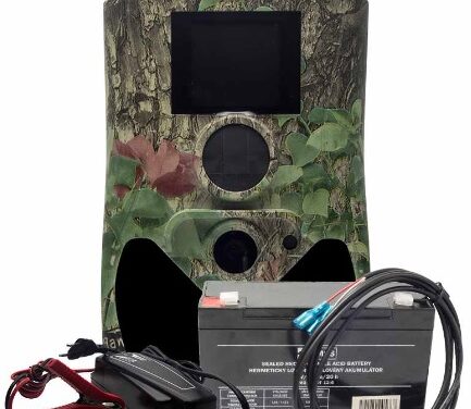 Fotopasti s cloudem jsou mnohem jednodušší. Jaké jsou jejich další výhody?