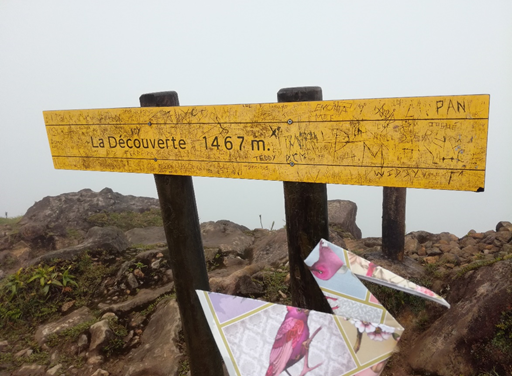 Řekni mi, jaký jsi, a já ti řeknu, do jakého kurzu angličtiny máš chodit