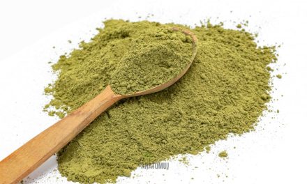 Využijte účinky trendy kratomu a buďte soustředění i nabití energií po celý den