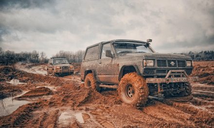 Chcete dokonalé auto? Není to jednoduché