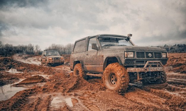 Chcete dokonalé auto? Není to jednoduché